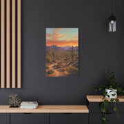 Sonoran Desert Panorama Southwest Wall Art & Canvas Print