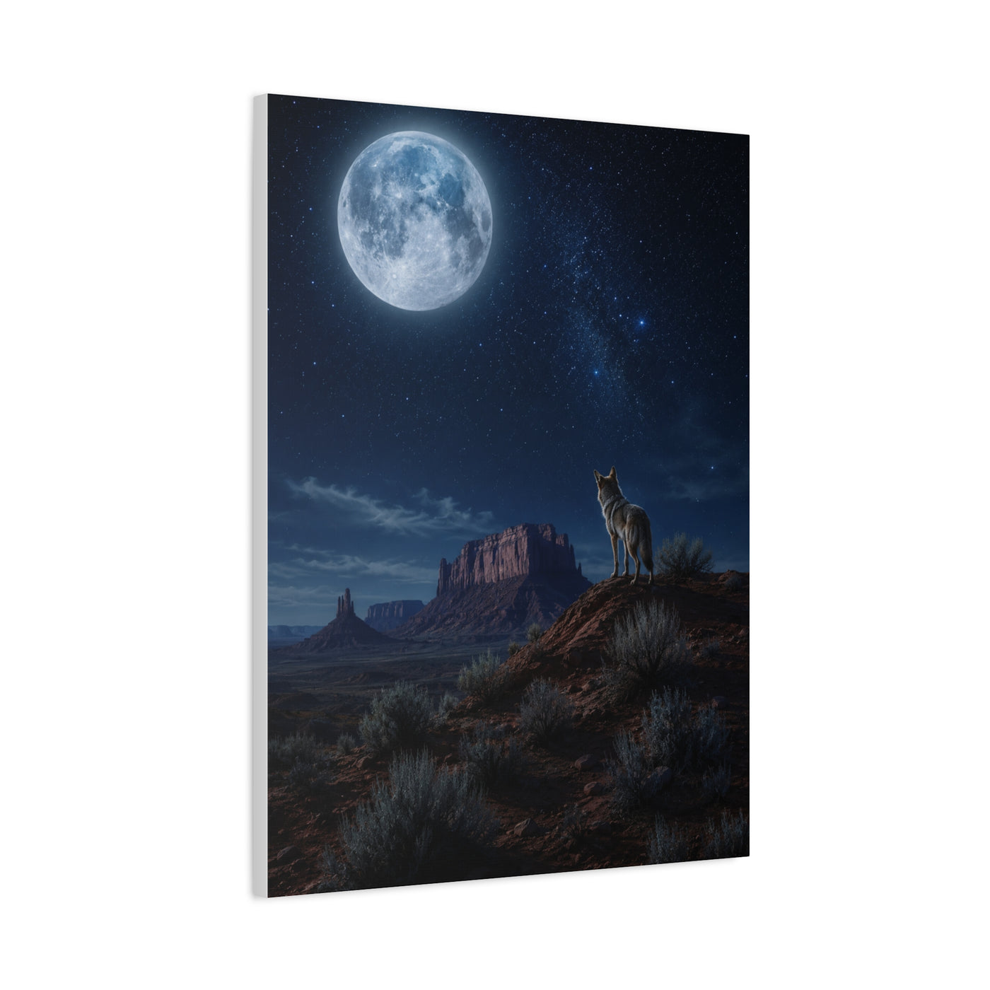 Moonlit Coyote Desert Wall Art & Canvas Print