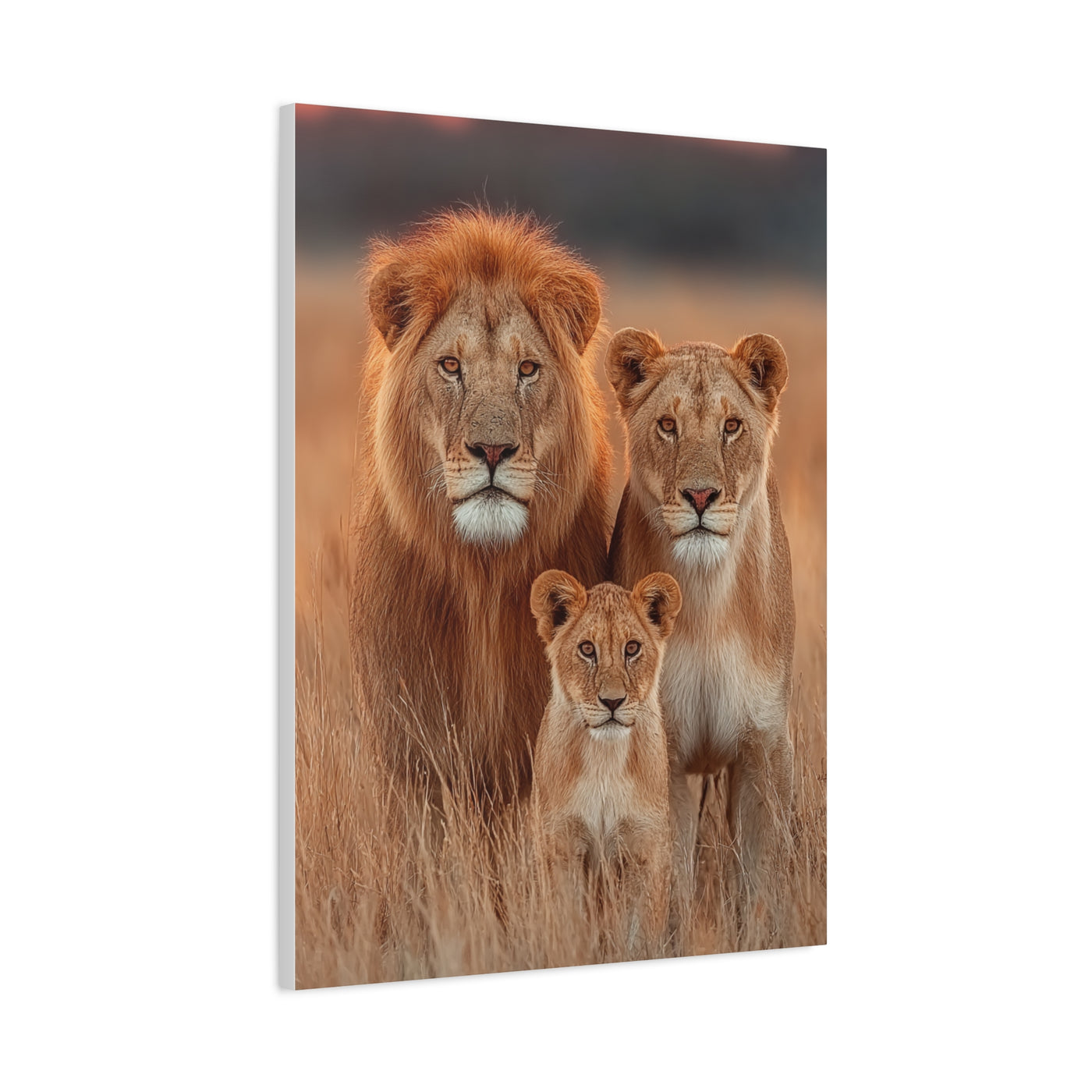 Lion Family Portrait Unity Wall Art & Canvas Print