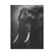 Monochrome Elephant Fine Art Portrait Wall Art & Canvas Print