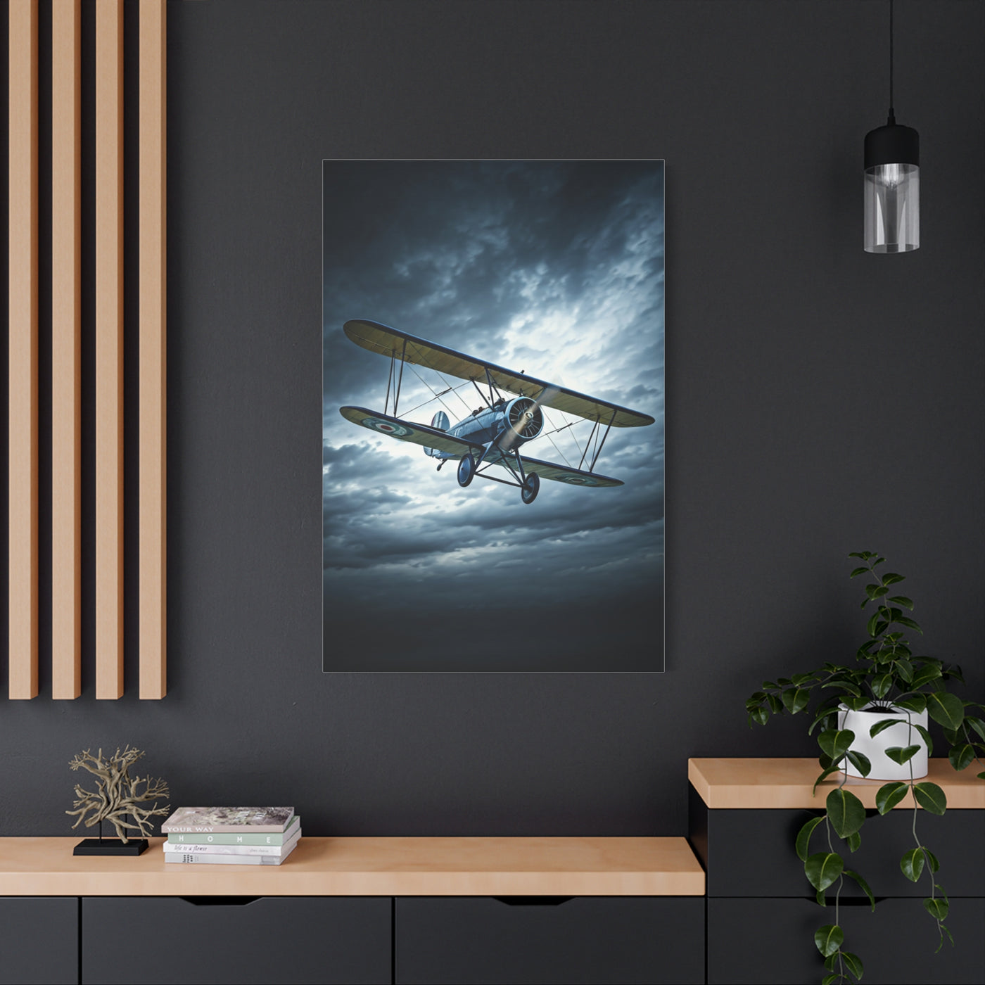 Stormbound Biplane Flight Wall Art & Canvas Prints