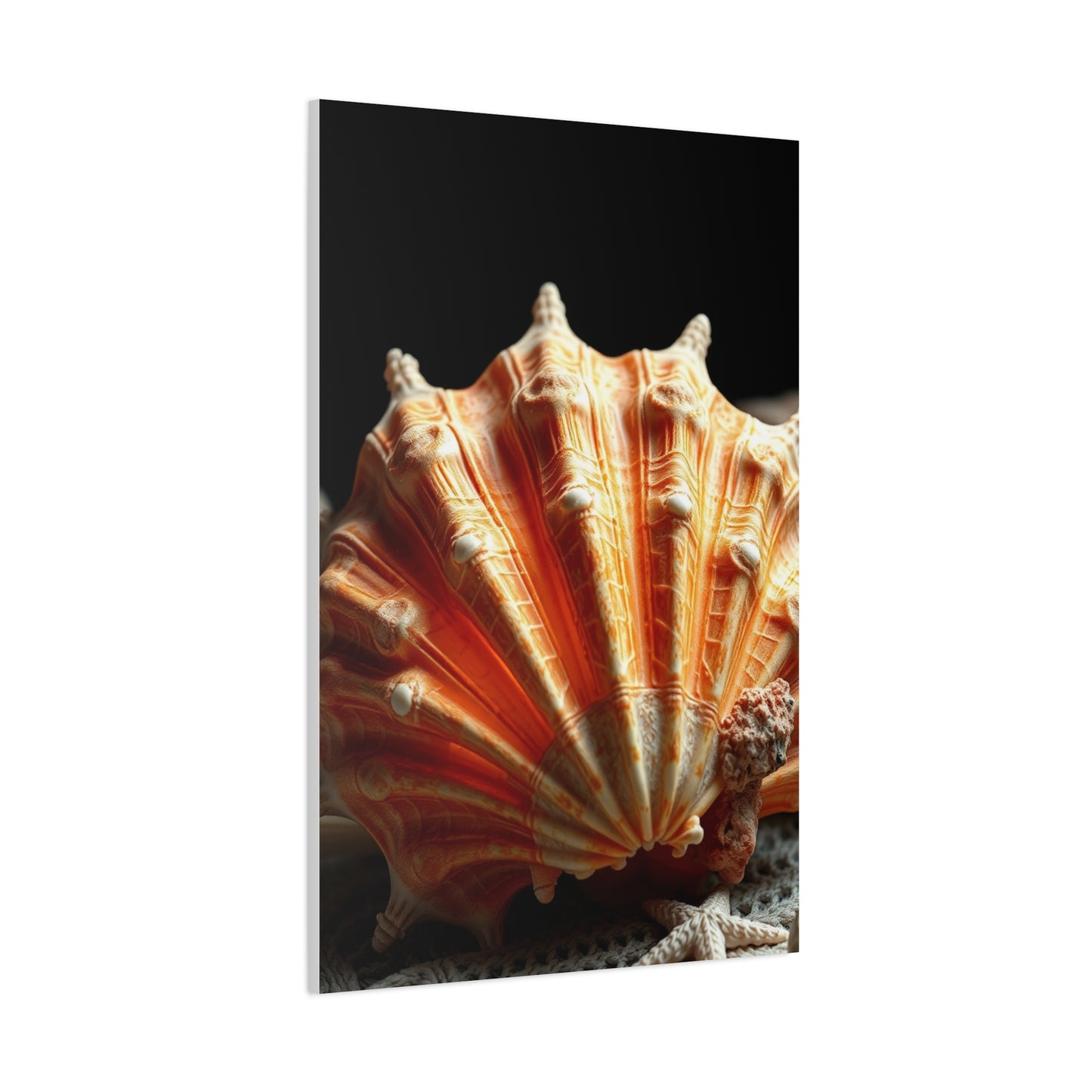 Sea Shell Art Supreme Canvas Wall Art & Canvas Print