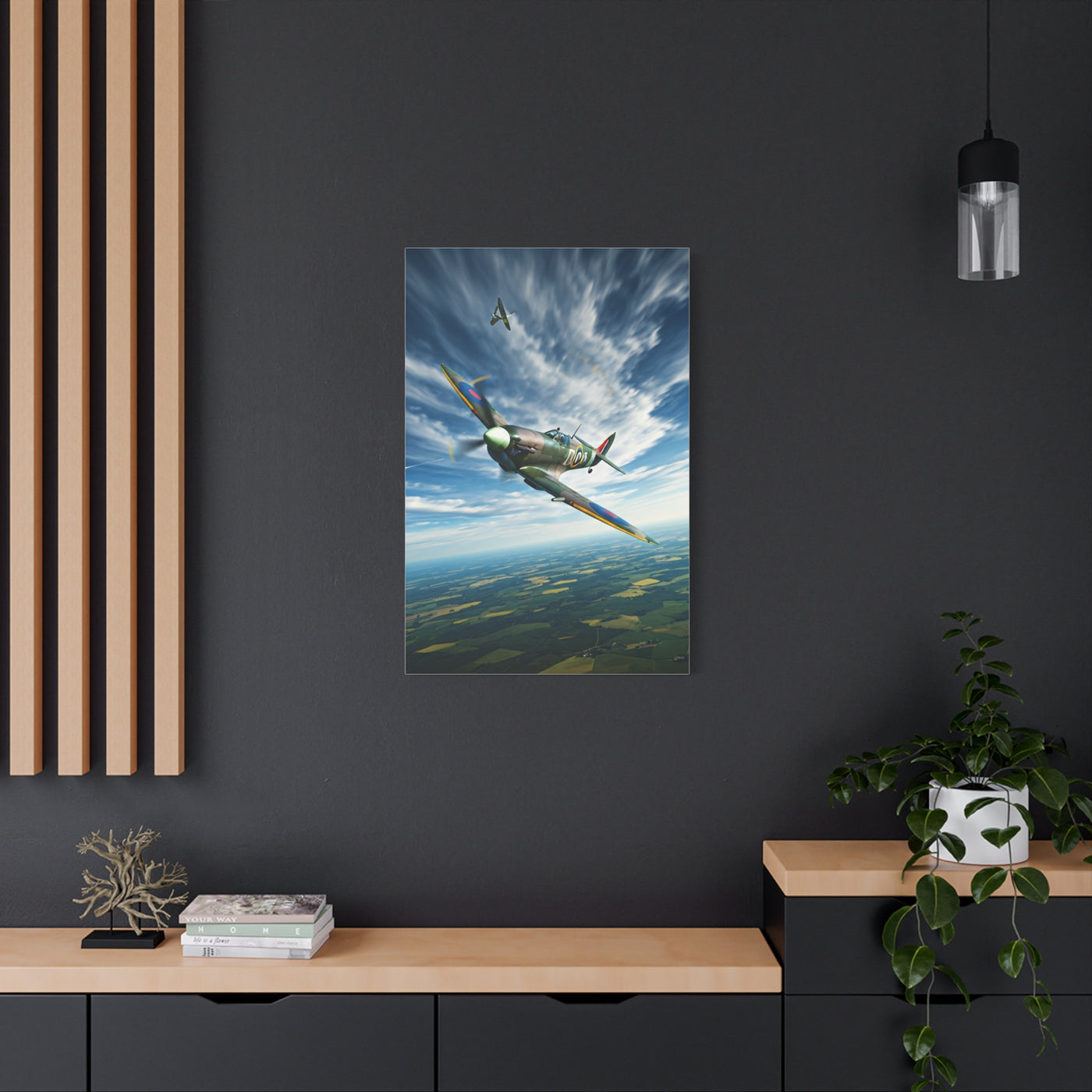 Vintage Warbird Flight Over Open Fields Wall Art & Canvas Prints