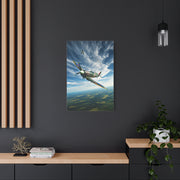 Vintage Warbird Flight Over Open Fields Wall Art & Canvas Prints