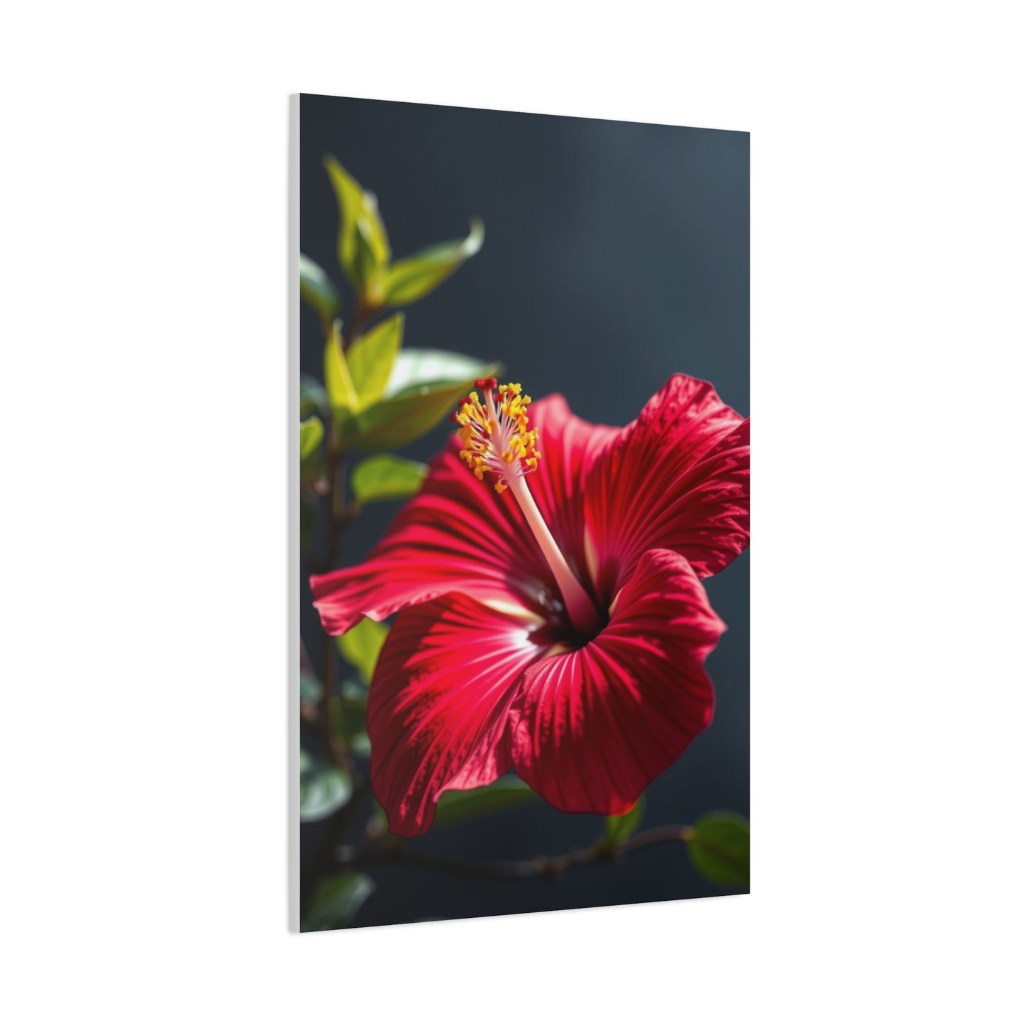 Hibiscus Flower Art Supreme Canvas Wall Art & Canvas Print
