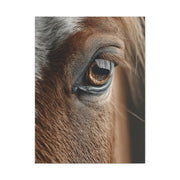 Horse Eye Macro Emotional Detail Wall Art & Canvas Print