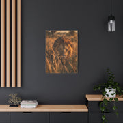 Lion Stalking Through Savannah Grass Wall Art & Canvas Print