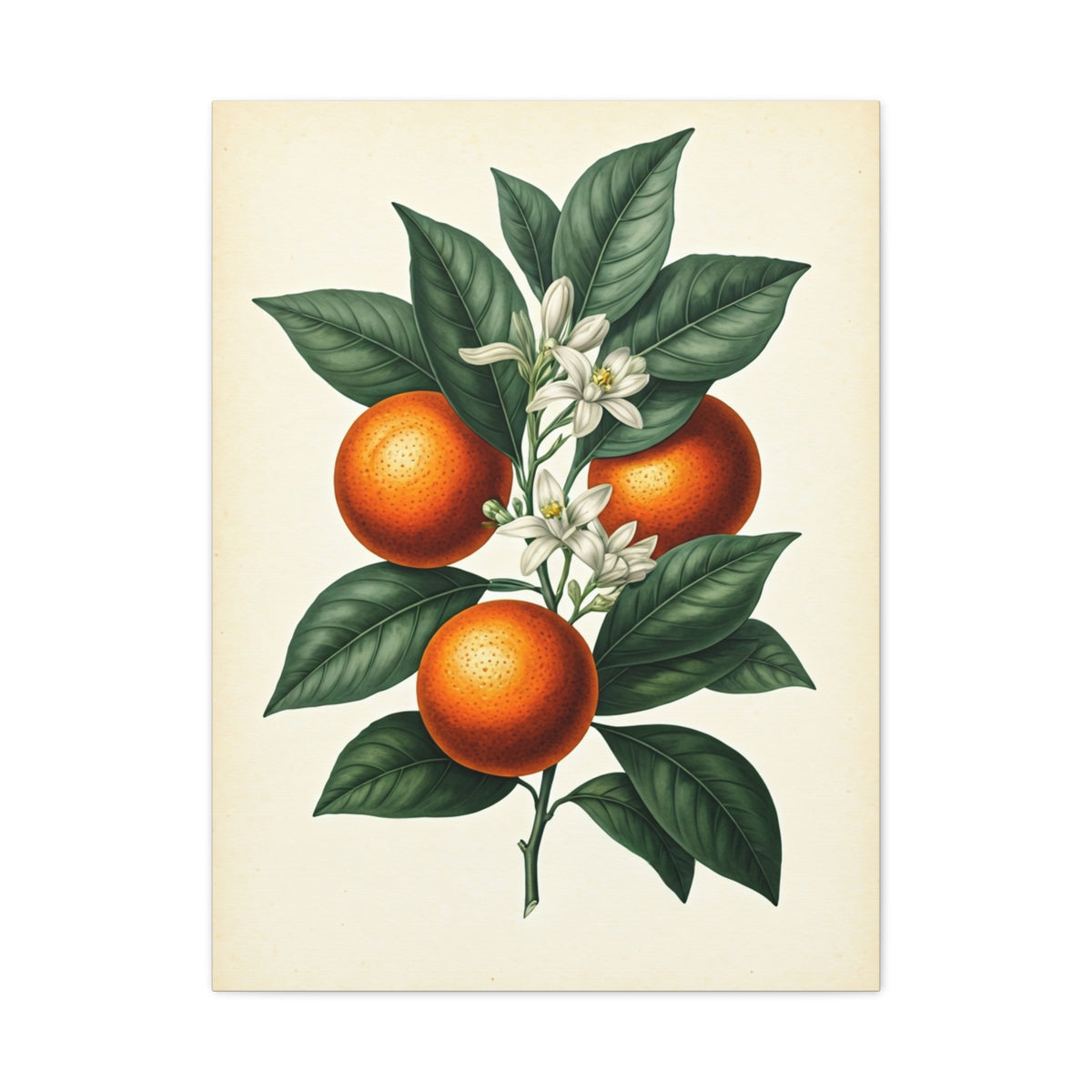Orange Wall Art