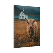 Highland Cow Farm Pasture Wall Art & Canvas Print