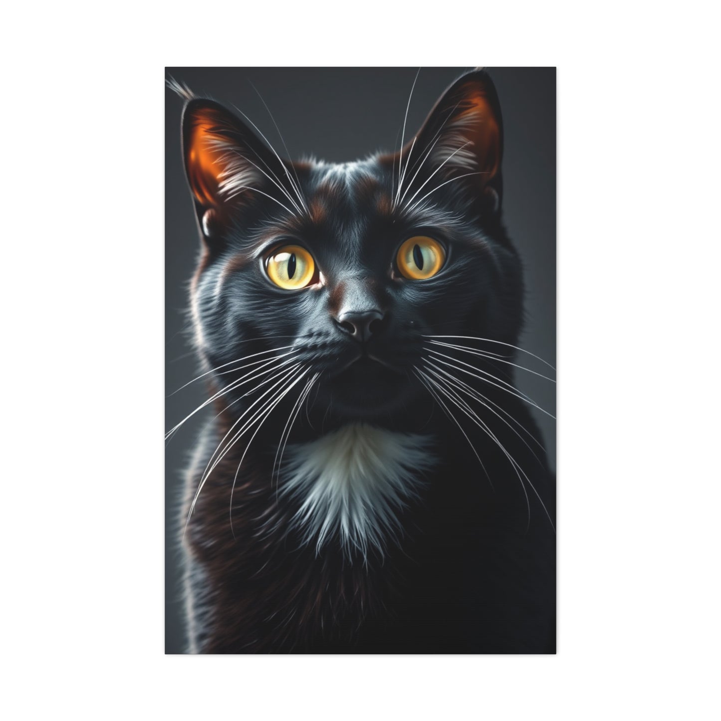 Supreme Tuxedo Cat Art Beautiful Collection Wall Art & Canvas Print