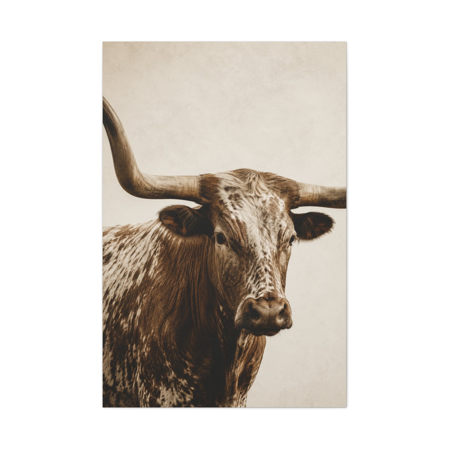 Texas Longhorn Heritage Portrait Wall Art & Canvas Print