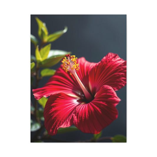Hibiscus Flower Art Supreme Canvas Wall Art & Canvas Print