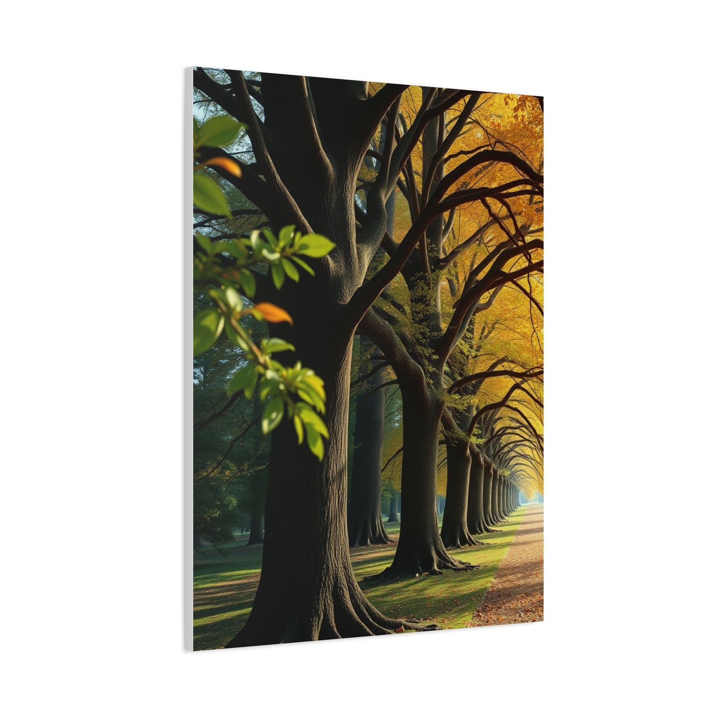 Supreme Trees Wall Art Beautiful Collection Wall Art & Canvas Print
