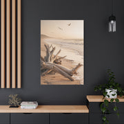 Driftwood Coastal Stillness Shore Wall Art & Canvas Print