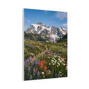 High Alpine Wildflower Meadow Wall Art & Canvas Print