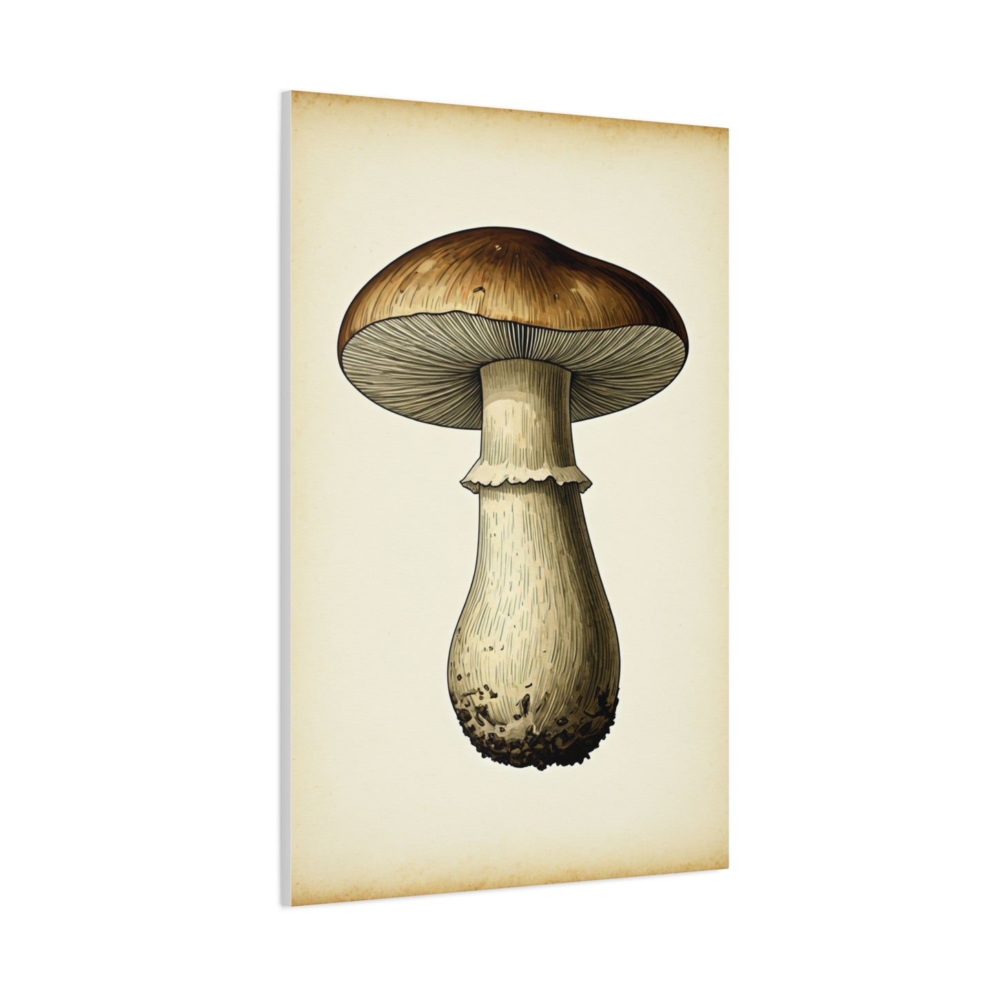 Mushroom Study Wall Art & Canvas Prints