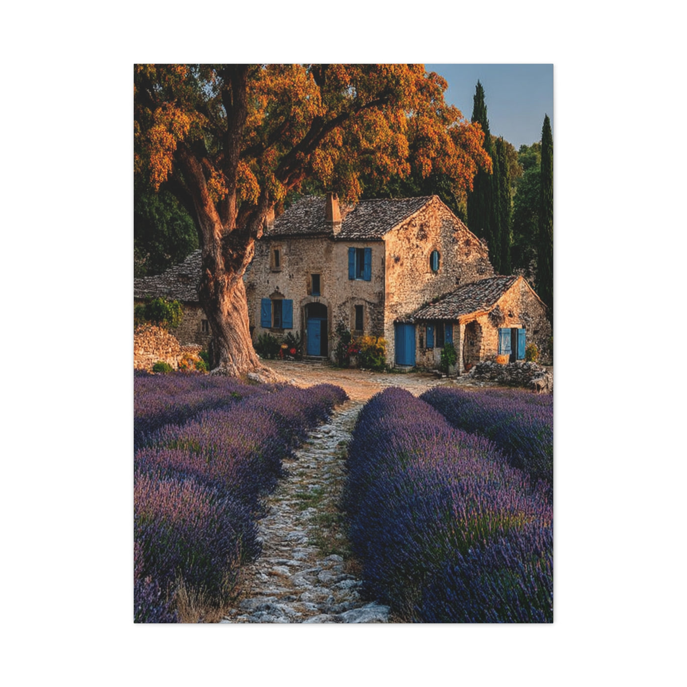 Lavender Field Farmhouse Provence Wall Art & Canvas Print