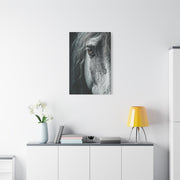 Horse Eye Intimate Monochrome Wall Art & Canvas Print