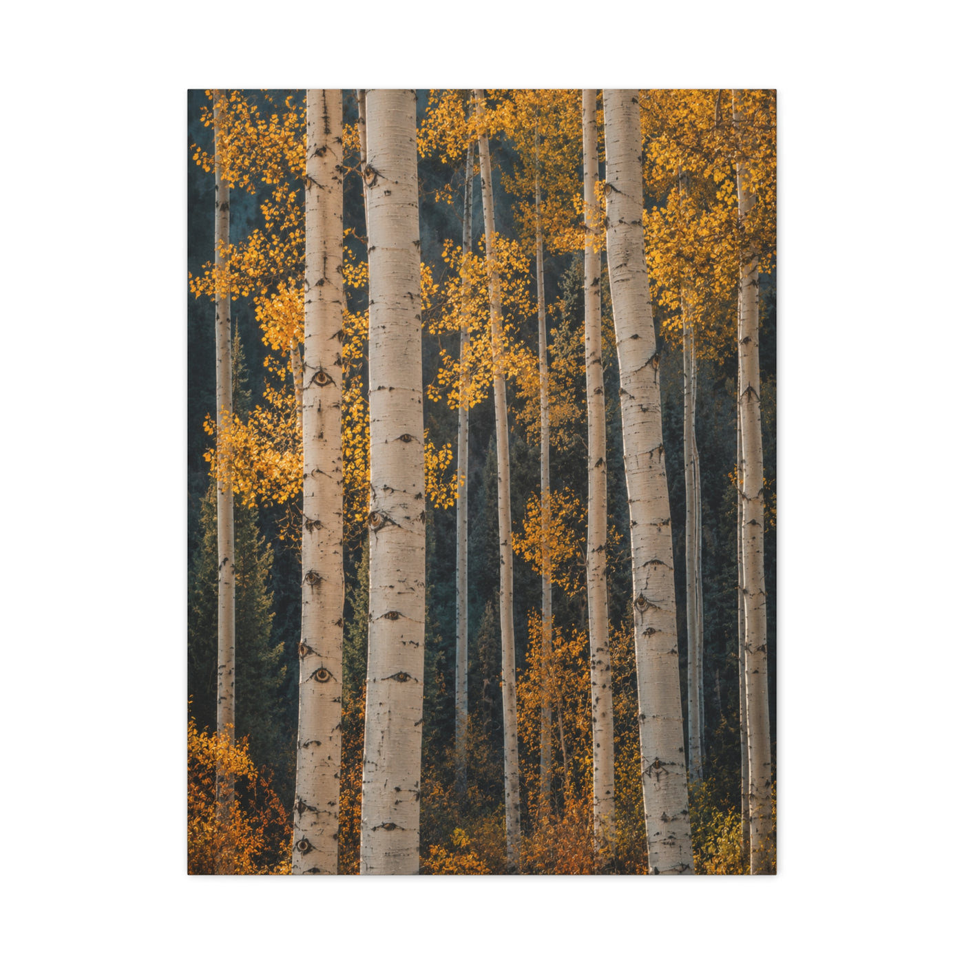 Golden Aspen Forest Autumn Vertical Trees Wall Art & Canvas Print