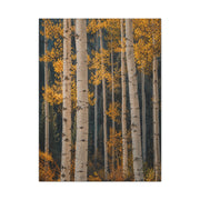 Golden Aspen Forest Autumn Vertical Trees Wall Art & Canvas Print