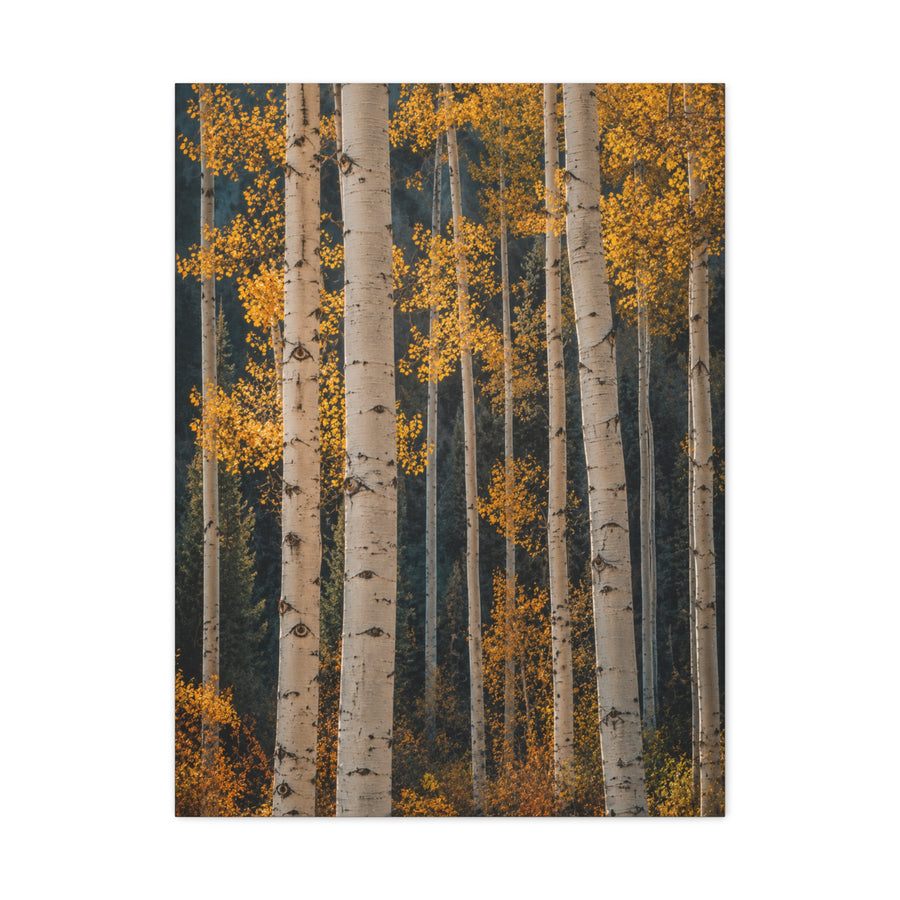 Golden Aspen Forest Autumn Vertical Trees Wall Art & Canvas Print