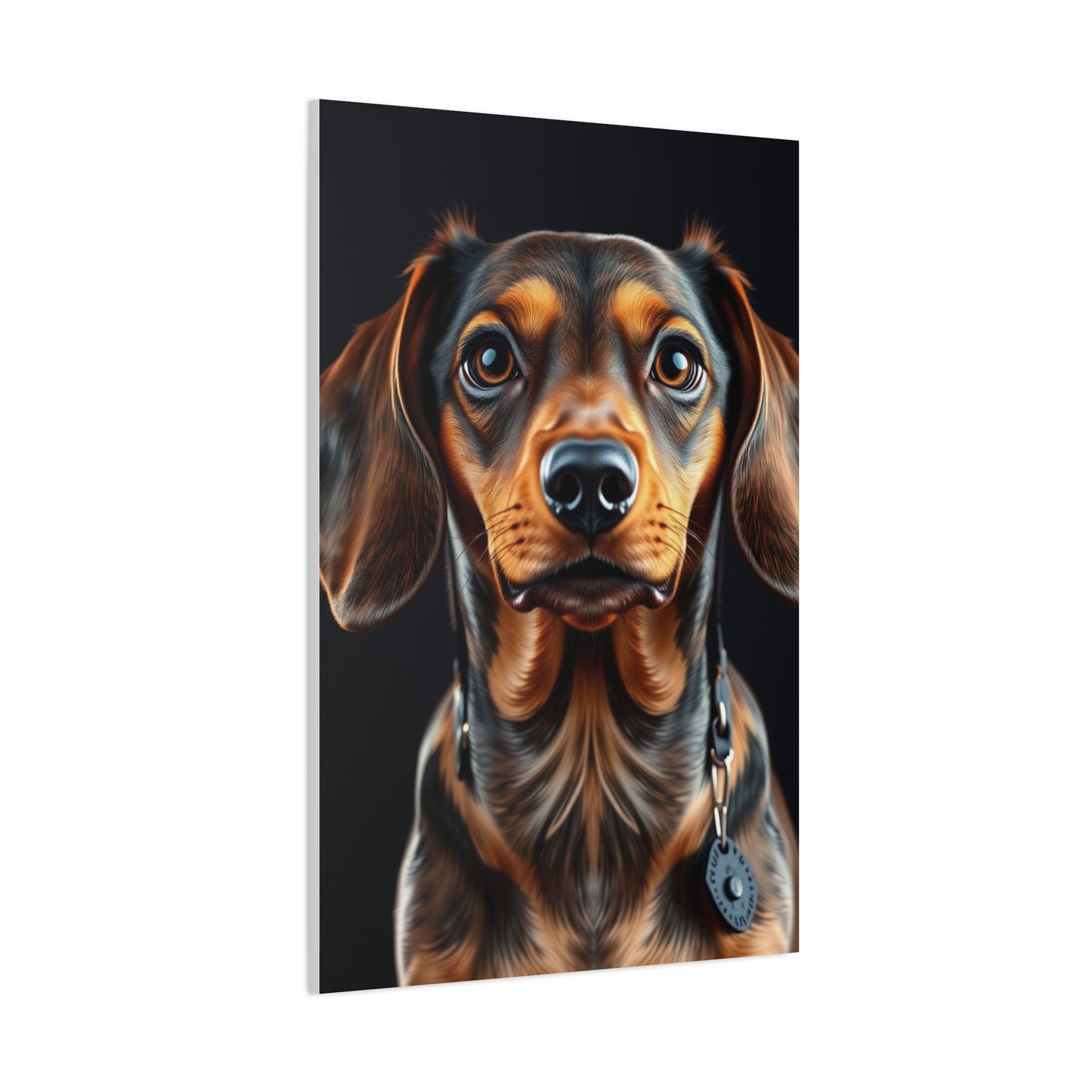 Supreme Dachshund Art Collection Wall Art & Canvas Print