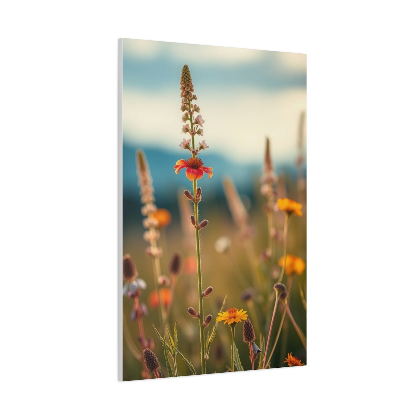 Supreme Wildflowers Art Collection Wall Art & Canvas Print