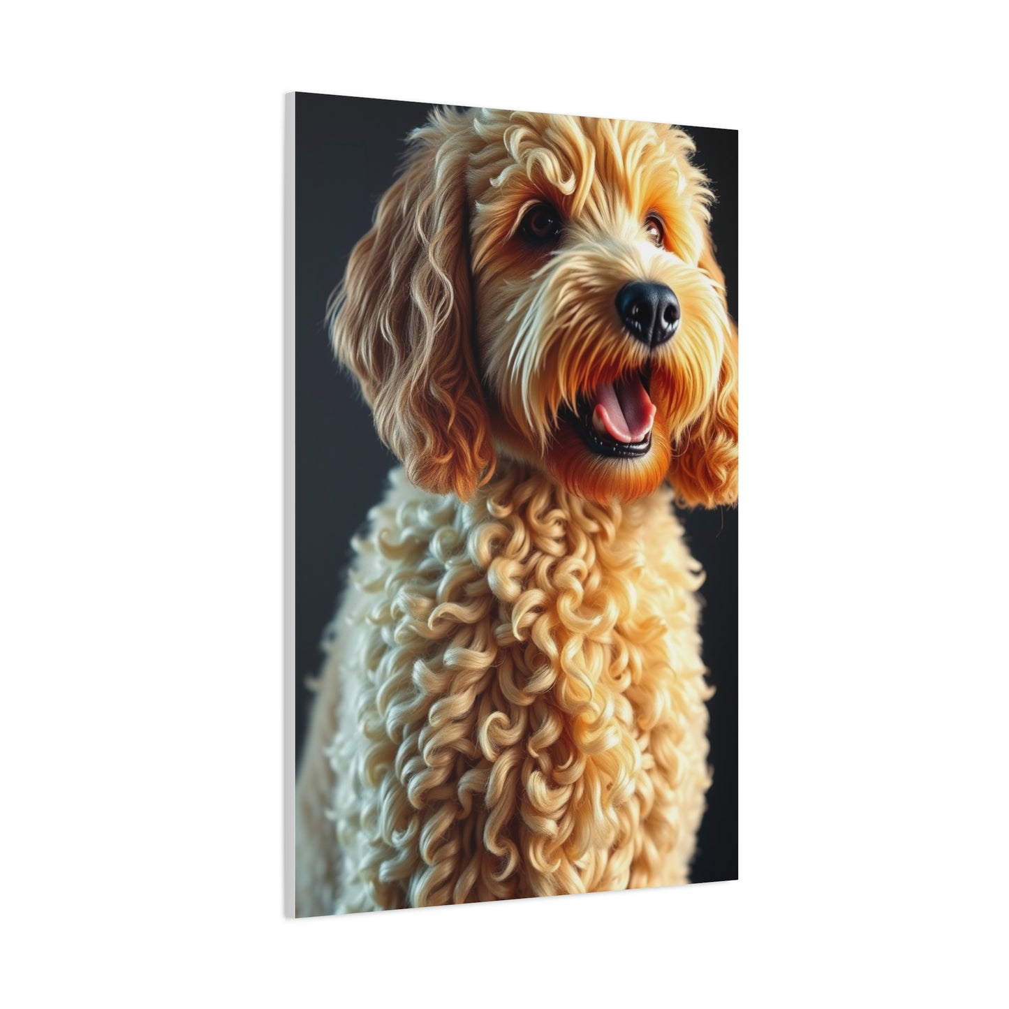 Supreme Art Golden Doodle Art Collection Wall Art & Canvas Print