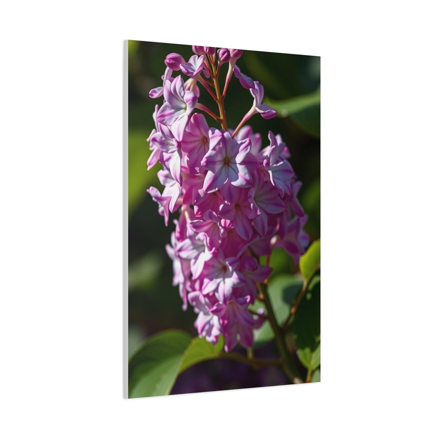 Lilac Flower Art Supreme Gallery Wall Art & Canvas Print