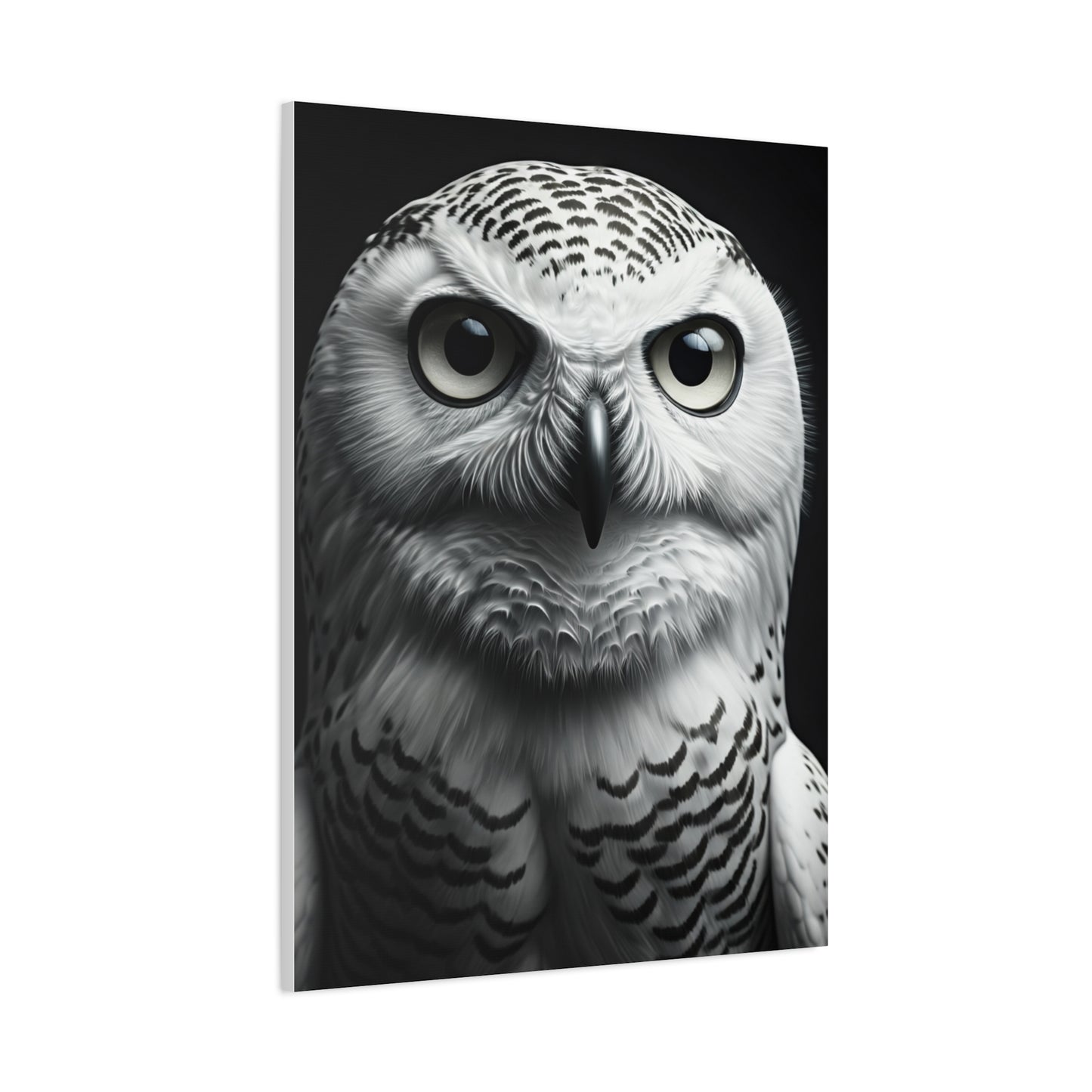 Snowy Owl Intense Gaze Wall Art & Canvas Prints