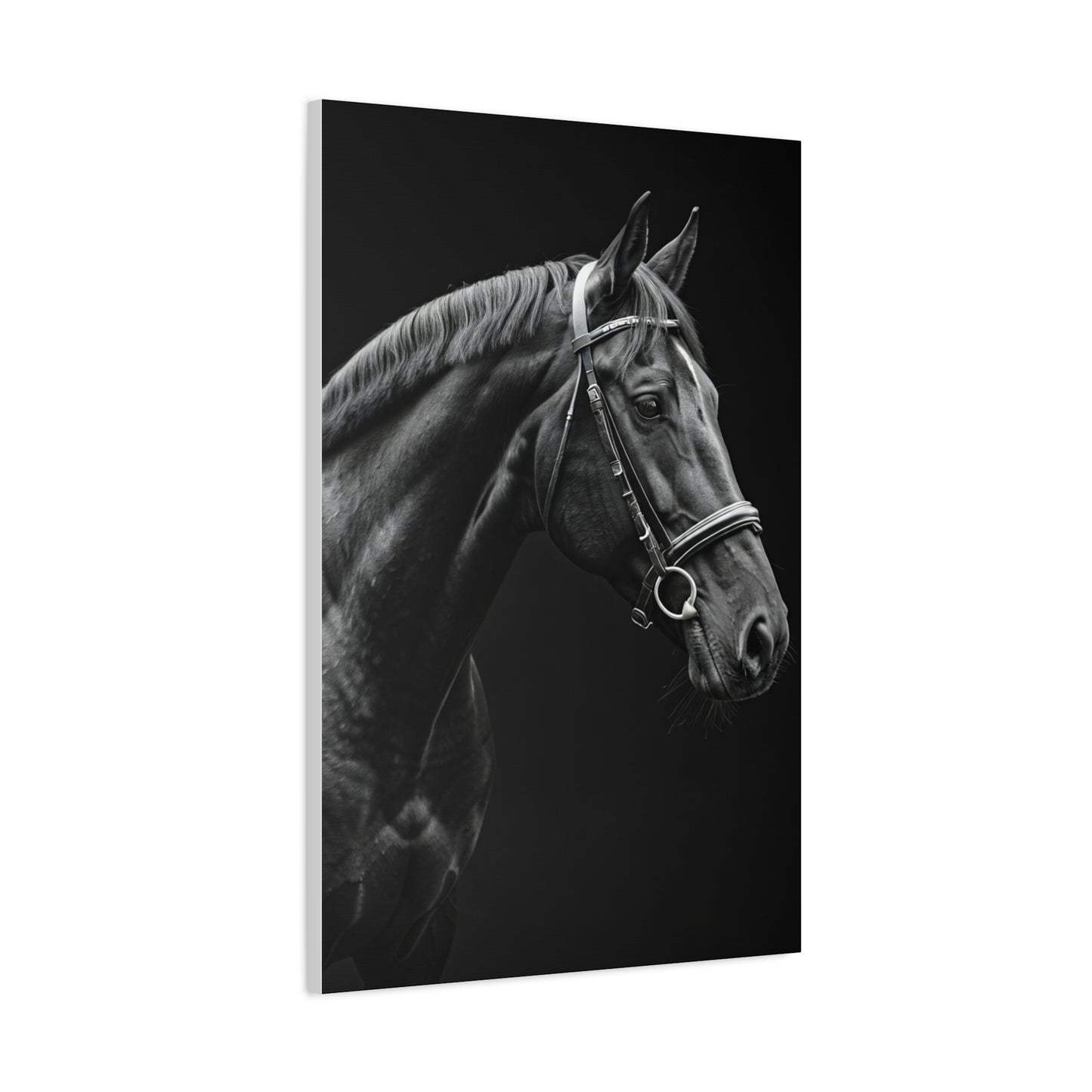 Elegant Black Stallion Profile Wall Art & Canvas Prints