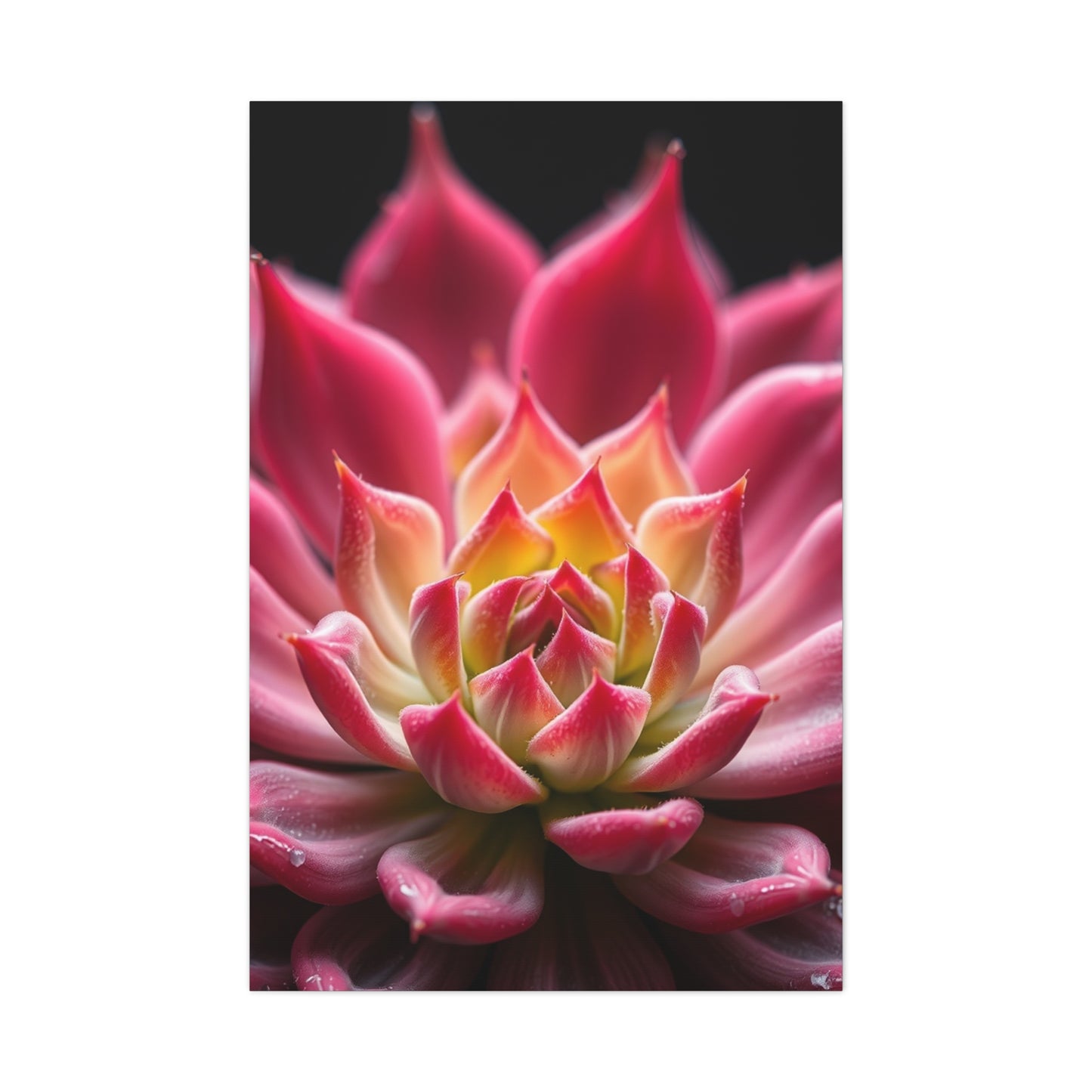 Succulent Art Supreme Canvas Wall Art & Canvas Print
