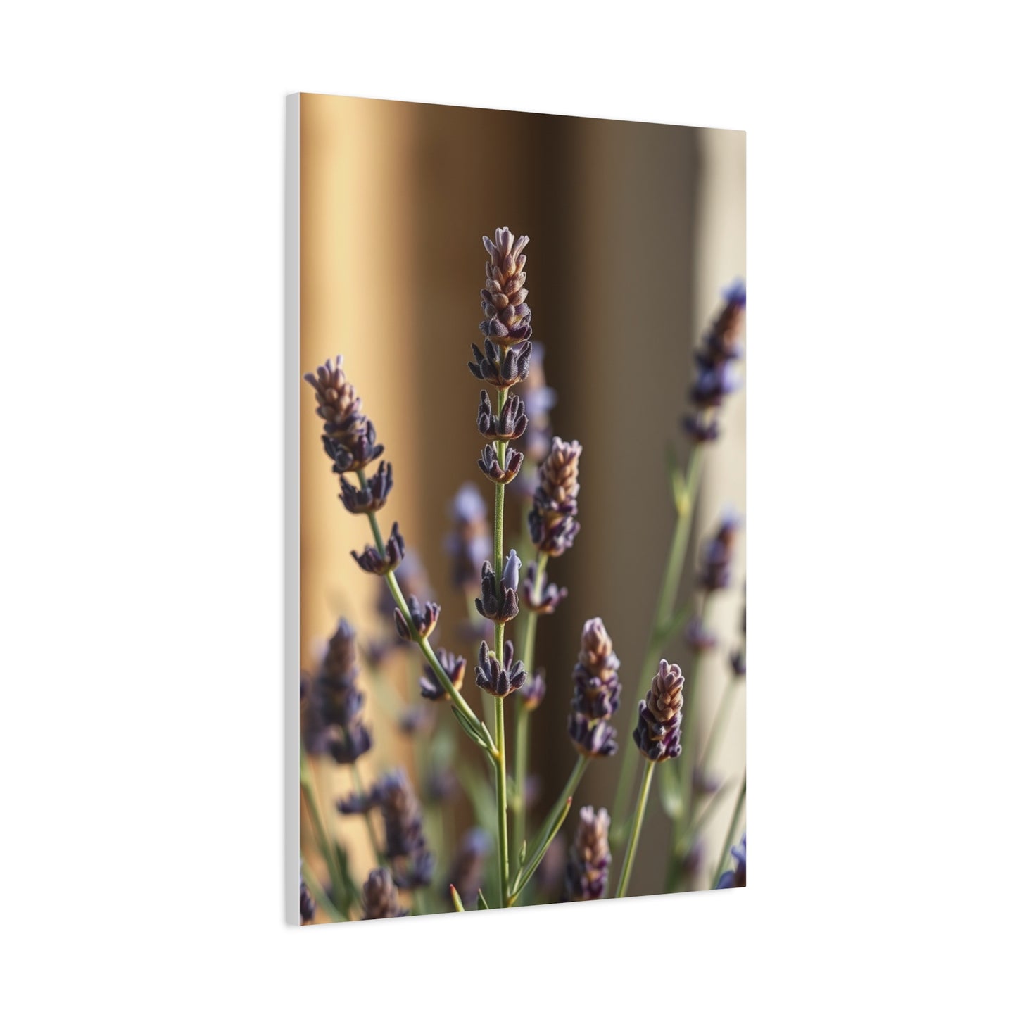 Lavender Herb Art Supreme Canvas Wall Art & Canvas Print