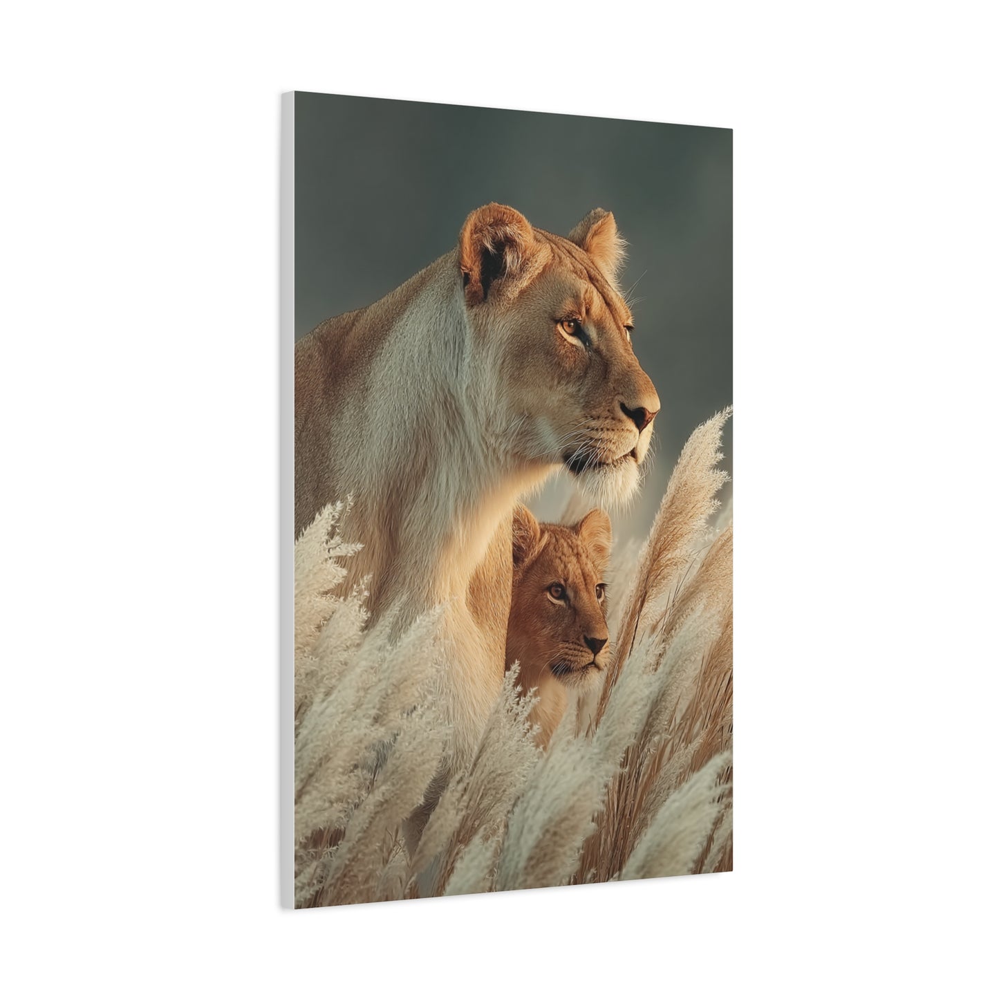Lioness and Cub Watchful Calm Wall Art & Canvas Print