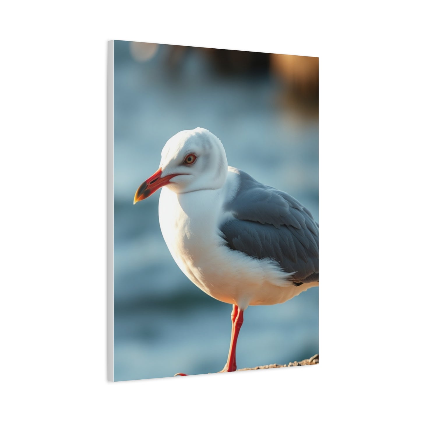 Supreme Sea Gull Art Beautiful Collection Wall Art & Canvas Print