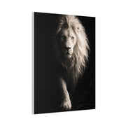 White Lion Shadow Walk Power Wall Art & Canvas Print