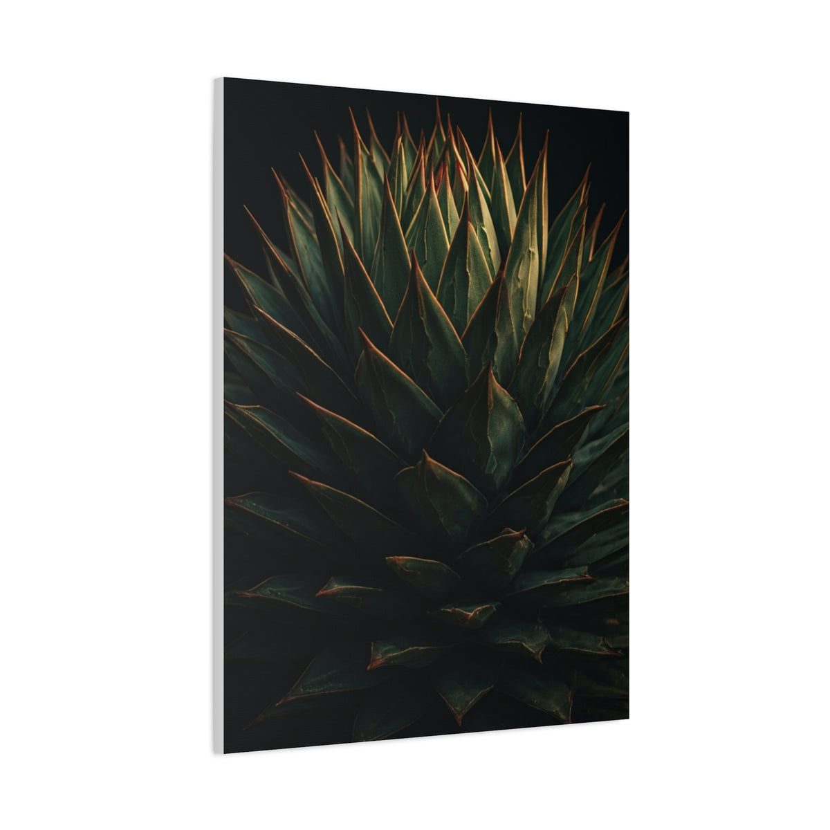 Emerald Agave Close-Up Wall Art & Canvas Prints