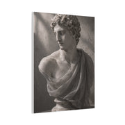 Classical Marble Bust Draped Wall Art & Canvas Print