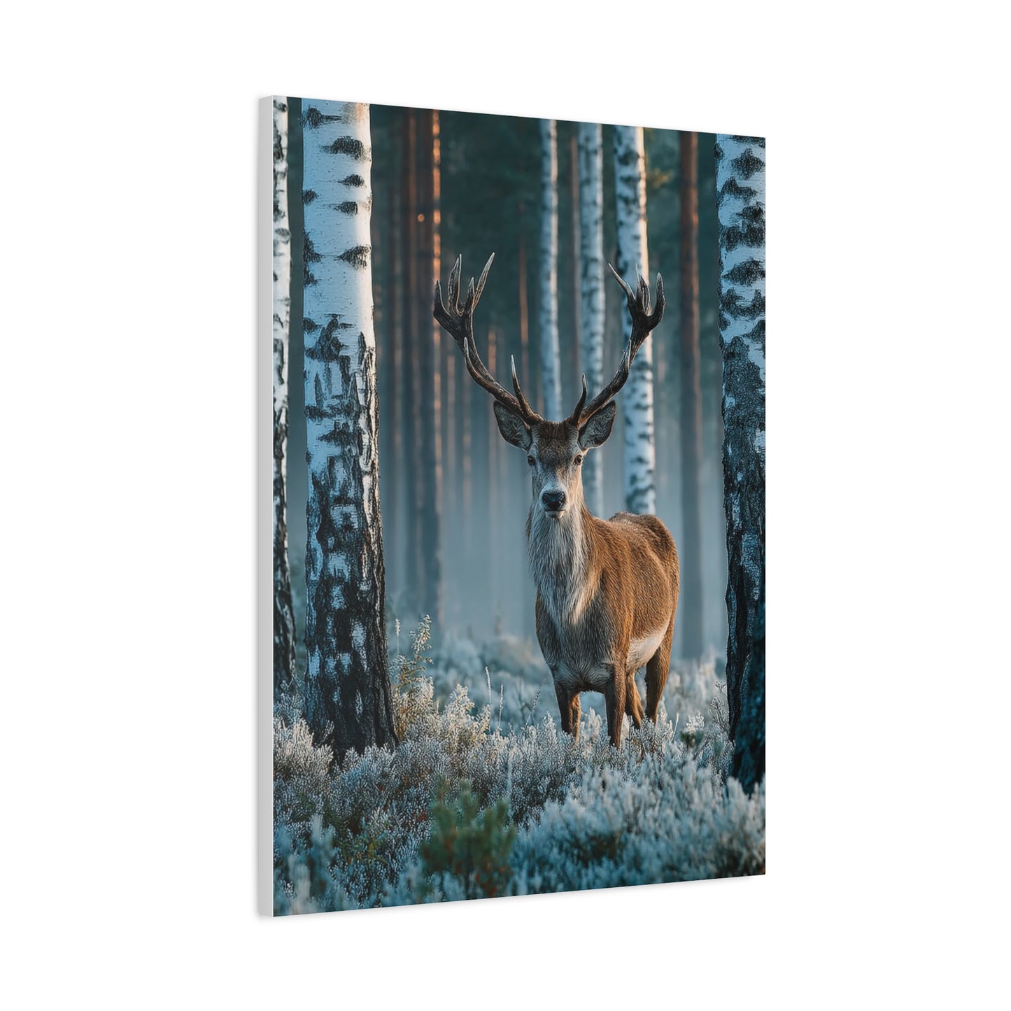 Nordic Birch Forest Stag Wall Art & Canvas Print