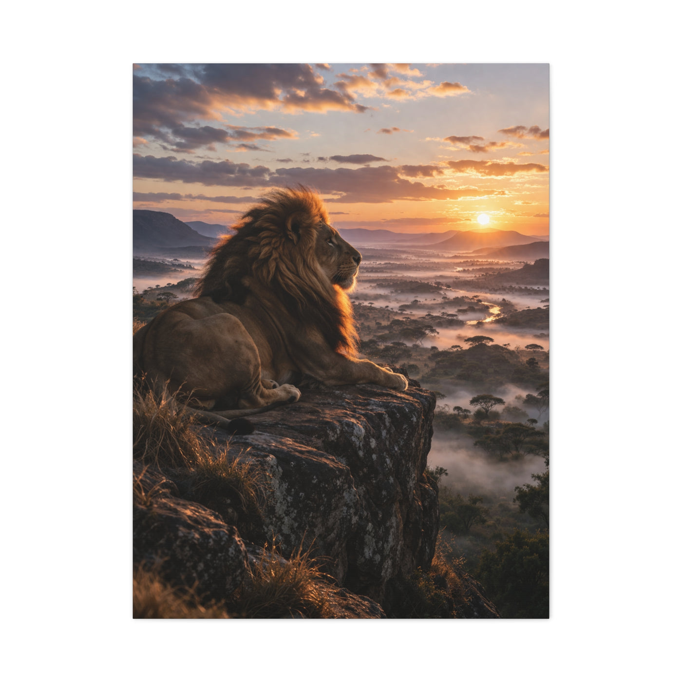 Lion at Sunrise Over Savannah Valley Wall Art & Canvas Print