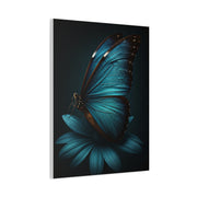 Blue Morpho Butterfly on Midnight Bloom Wall Art & Canvas Prints