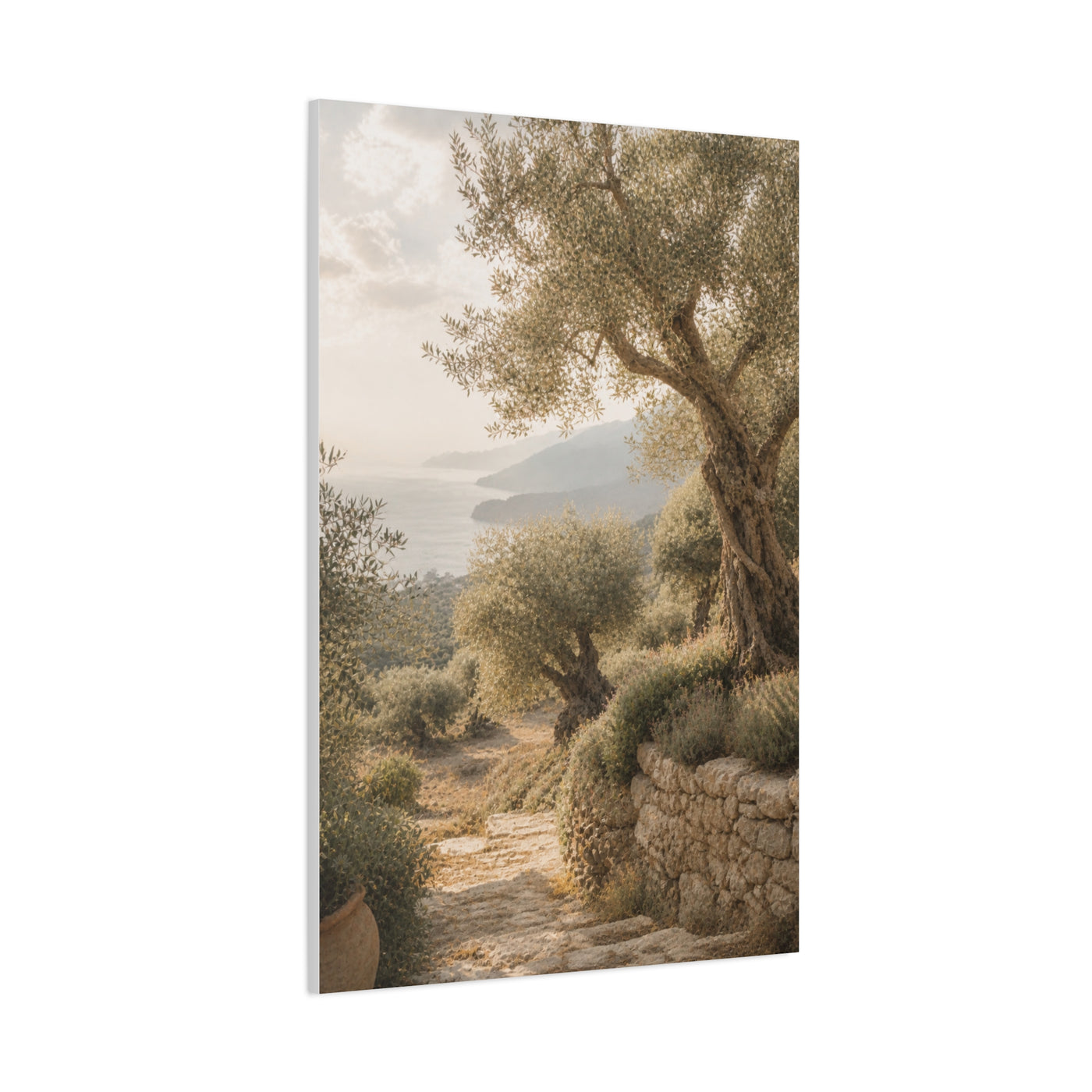 Olive Grove Coastal Serenity Wall Art & Canvas Print