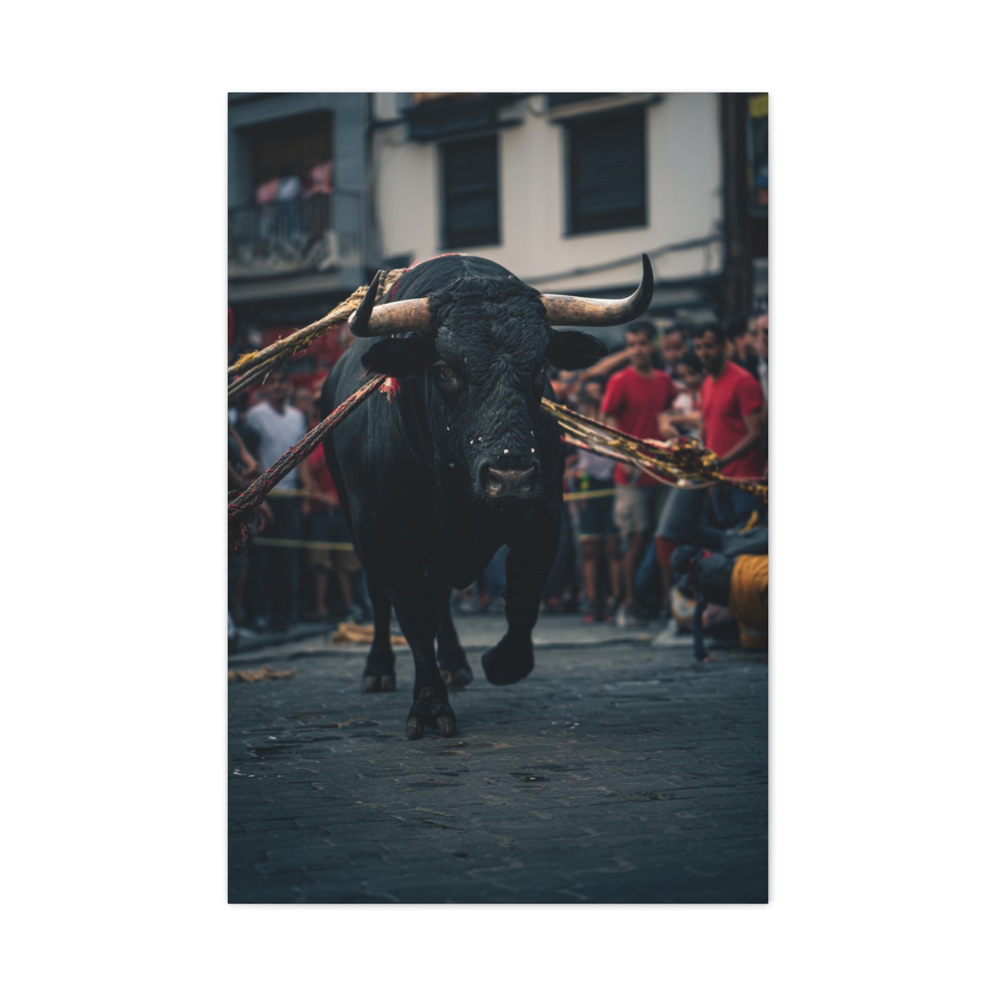 Bull Guided Through Festival Streets Wall Art & Canvas Print