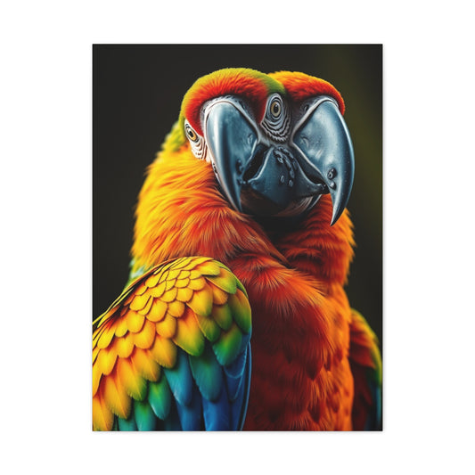 Supreme Parrot Art Beautiful Collection Wall Art & Canvas Print