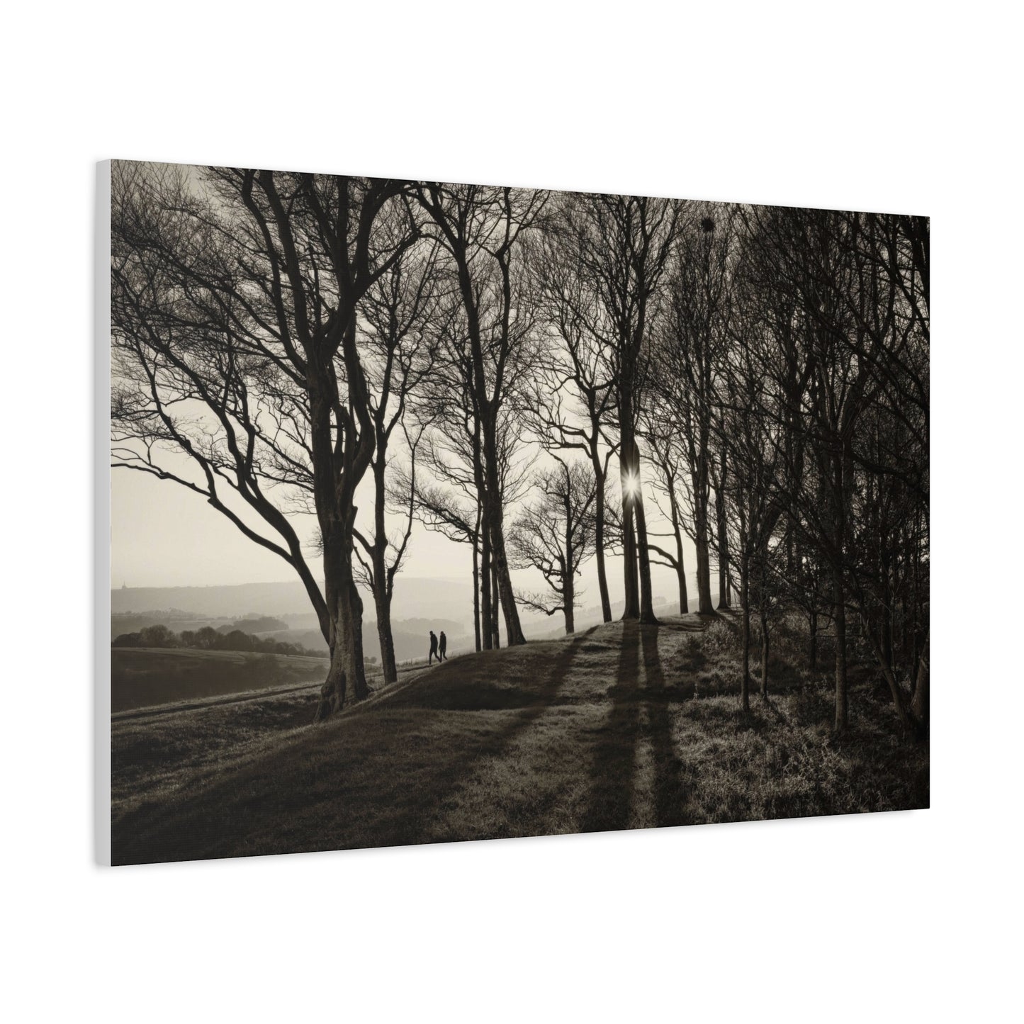 Forest Path at Dawn Wall Art & Canvas Prints