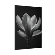Magnolia Blossom Serenity Monochrome Wall Art & Canvas Prints