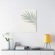 Soft Palm Frond Shadow Minimal Wall Art & Canvas Prints