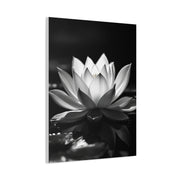 Serene Lotus Reflection Wall Art & Canvas Prints