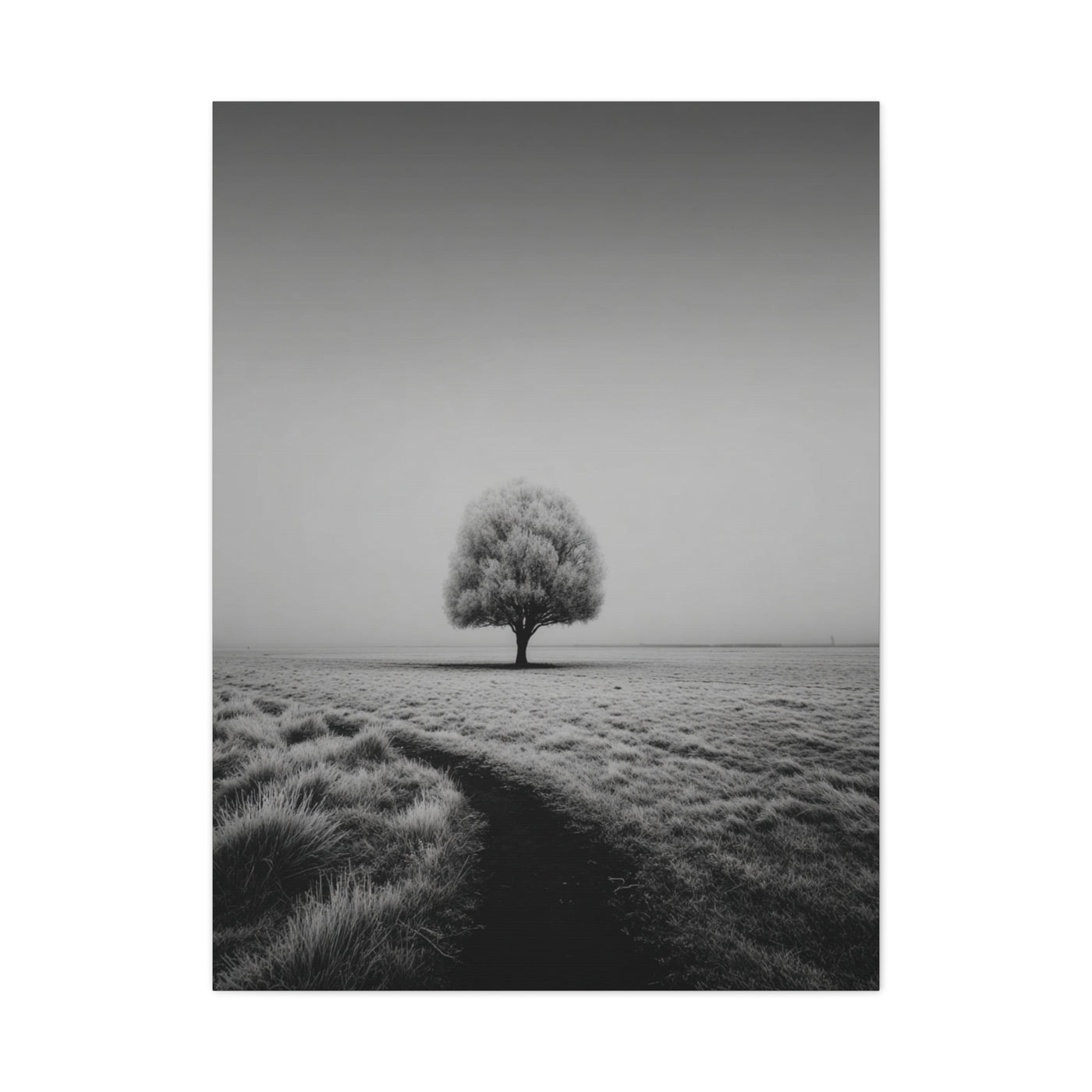 Lone Tree Winter Field Wall Art & Canvas Print