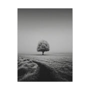 Lone Tree Winter Field Wall Art & Canvas Print